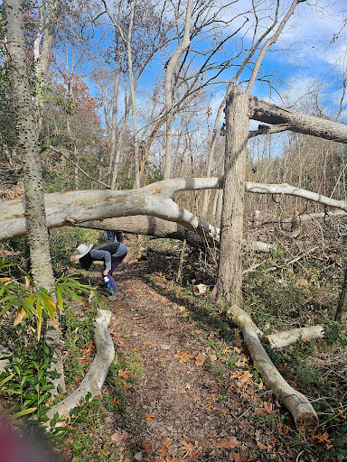 Coates Bluff Nature Trail - Thumbnail