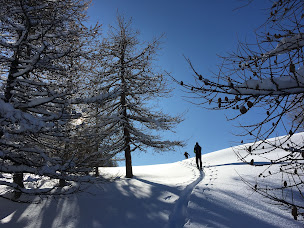 Photo n°20 de Mont épique à Vars (Centre de sports d'aventure)