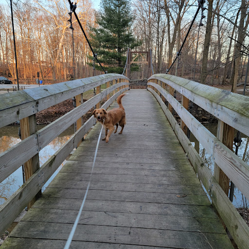 Big Creek Parkway - Thumbnail