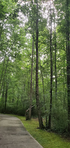 Reeves Creek Trail - Thumbnail