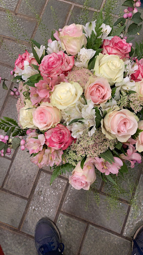 Dioni Fiori E Piante - Thumbnail