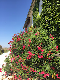 Photo n°13 de La Britanière à Migré (Chambre d'hôtes)