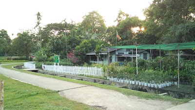 Photos of Myay Padethar Island