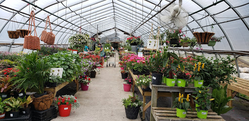 Oceanview Home and Garden - Thumbnail