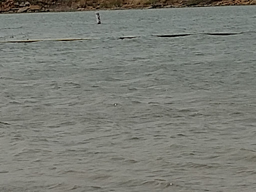West Swimming Beach, Lucas Park Recreation Area - Thumbnail
