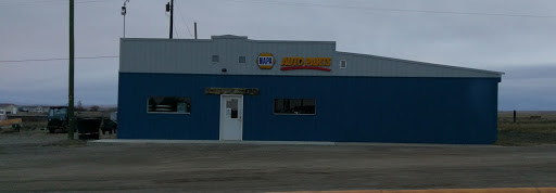 NAPA Auto Parts - Ward's Repair Parts