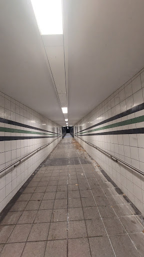Rollwald - Visual