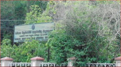 Photos of Gampaha Wickramarachchi Ayurveda Institute