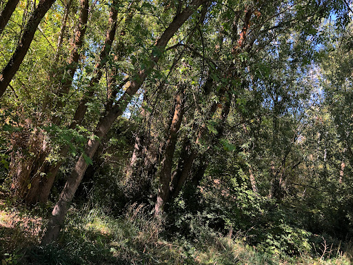 Gailey Trail trailhead - Thumbnail