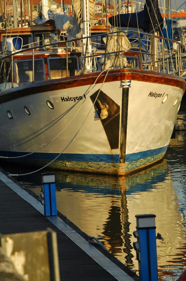 Halcyon I - Boat Tours Lisbon
