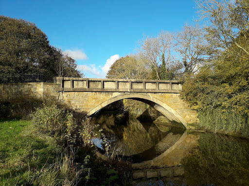 Dene Park - Visual