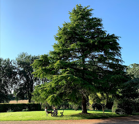 Photo n°17 de Château du Vau à Ballan-Miré (Chambre d'hôtes)