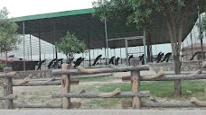 Bahria Zoo rawalpindi