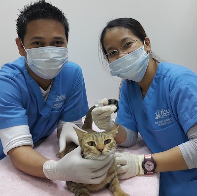 Photos of House Veterinary Centre