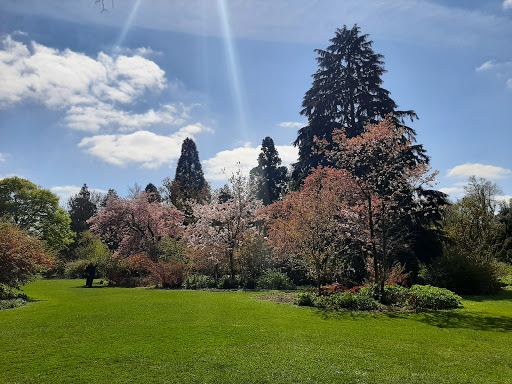 Arboretum Kalmthout - Thumbnail