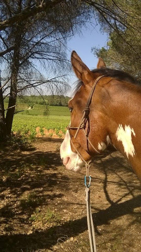 Equestrian Center Pleine Nature