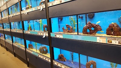 Petco