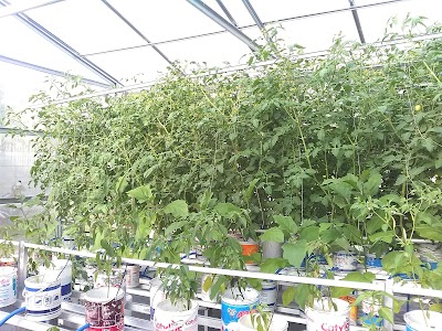 Photos of Rumah Hijau Hydrofarm