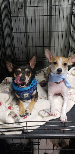 The Barkery Grooming Shoppe - Thumbnail