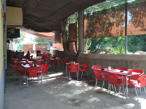 La Jaula