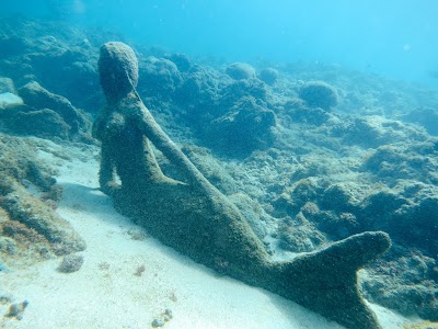 Photos of Grenada Underwater Sculpture Park