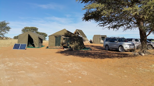 Kgalagadi Transfrontier Park