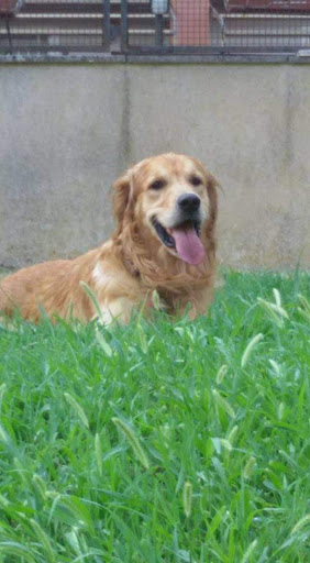 Clinica Veterinaria Eur Torrino - Associazione Veterinaria Europa - Thumbnail