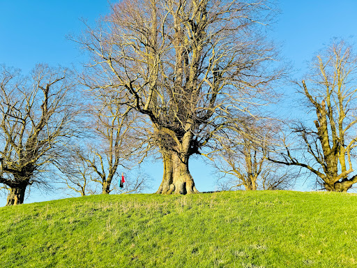 Burn Hill - Visual