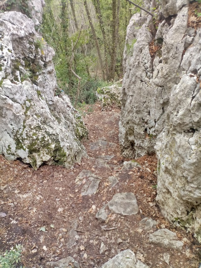 Fumane Cave