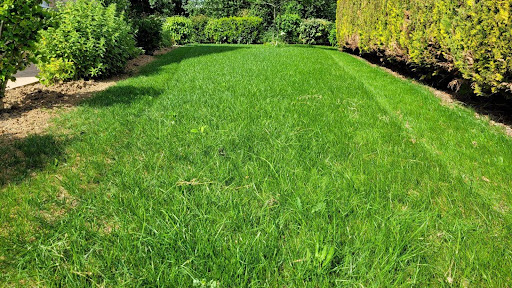 Photo de Vendiris à Rolampont (52260)