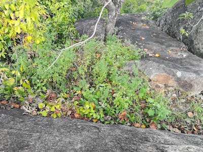 Photos of Ridikanda Rajamaha Viharaya