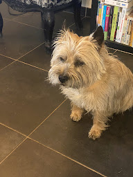 Photo n°17 de La Conciergerie de Moliets à Moliets-et-Maa (Agence de location de maisons de vacances)