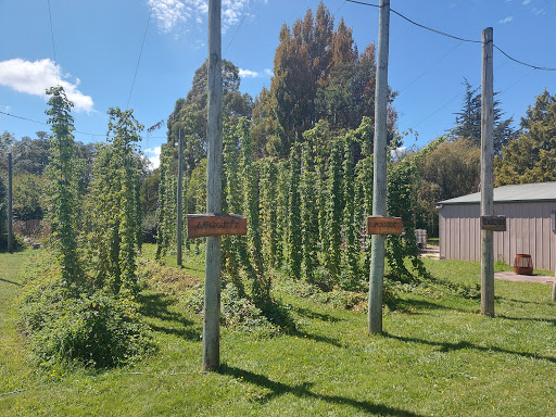 Seven Sheds Brewery - Thumbnail