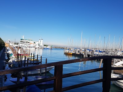 Pier Luigi Penzo Stadium