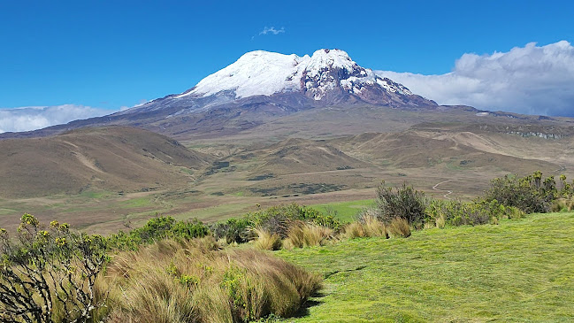 Opiniones de Parque Nacional Antisana en Tena - Camping