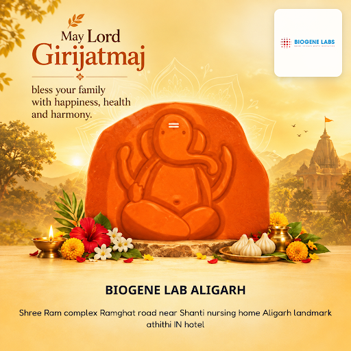 Celebrate Ganpati 2026 with BIOGENE LAB ALIGARH, offering comprehensive blood tests including pre… post image