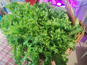 Photo n°7 de Riz Thaï Authentique Thaï Cuisine​ À​ Emporter. Légumes Bio du jardin à Le Lavandou (Restaurant)