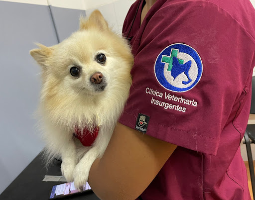 Clínica Veterinaria Insurgentes
