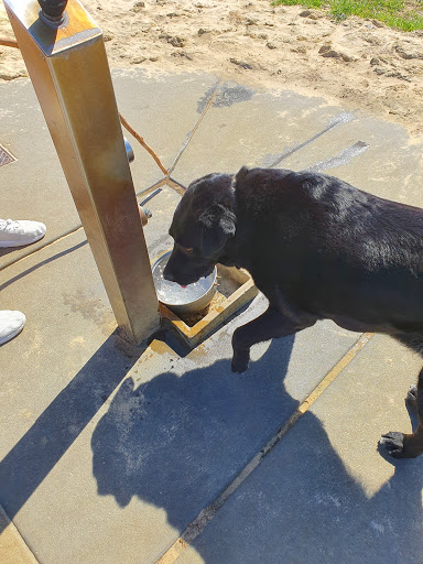 Ellenbrook Dog Exercise Park - Thumbnail