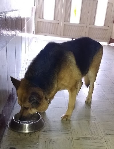Photos of Centro Veterinario MOTAS