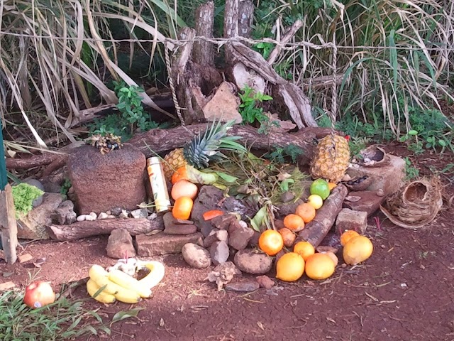 Pu'u O Mahuka Heiau State Historic Site