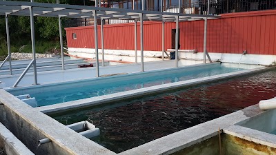 Photos of Beypinar Balik Restorant