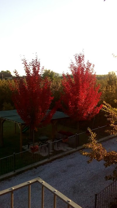 Photos of Affittacamere Mammanella
