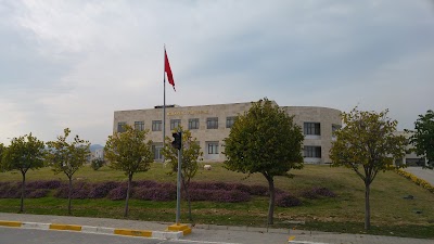 university
