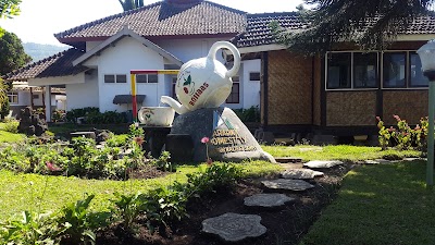 Photos of Arabica Homestay