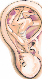 Photo n°6 de Therond Arielle à Pont-Saint-Esprit (Réflexologue)