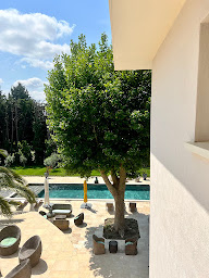 Photo n°2 de Villa Pauline Avignon - Maison d'hôtes & Bed and Breakfast & Galerie d'Art à Avignon (Chambre d'hôtes)