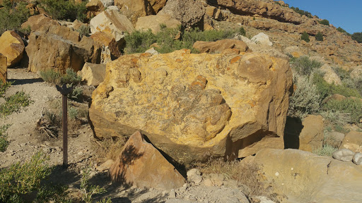 Dinosaur Tracks - Visual