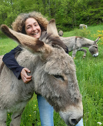 Photo n°10 de Les Ânes d'Artémis à Albon-d'Ardèche (Centre de randonnée équestre)