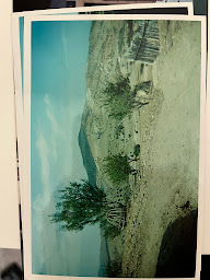 Photo n°26 de Le z fast-food à Briare (Restaurant halal)